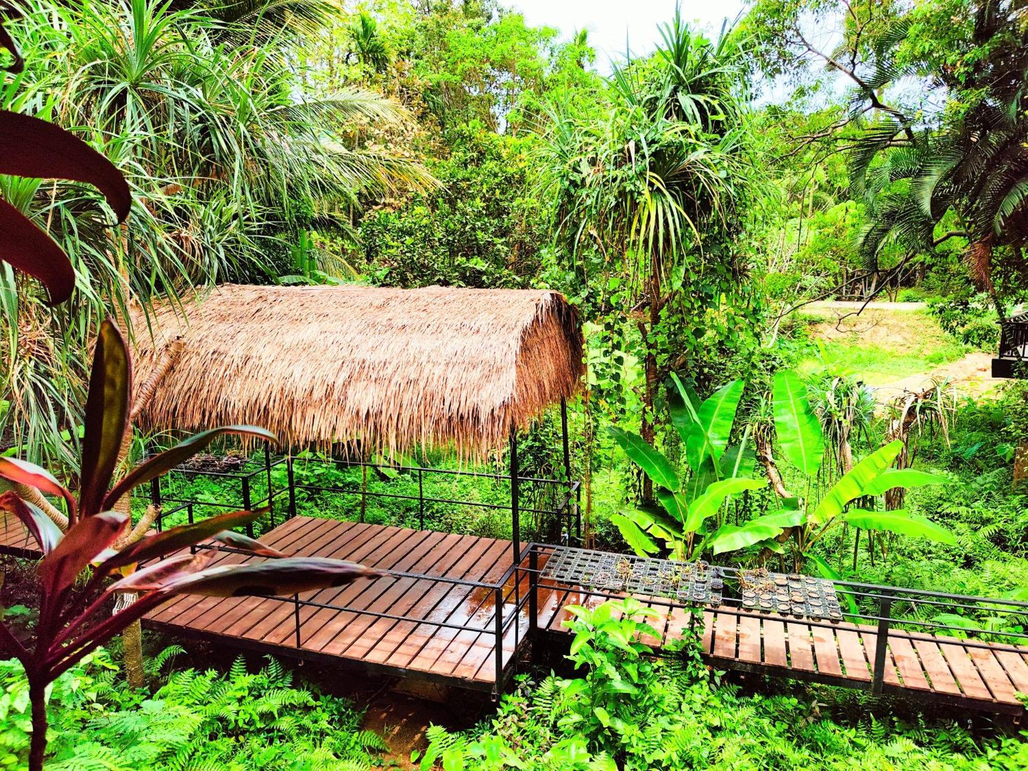 Phuket Jungle Experience Resort Karon Exterior foto